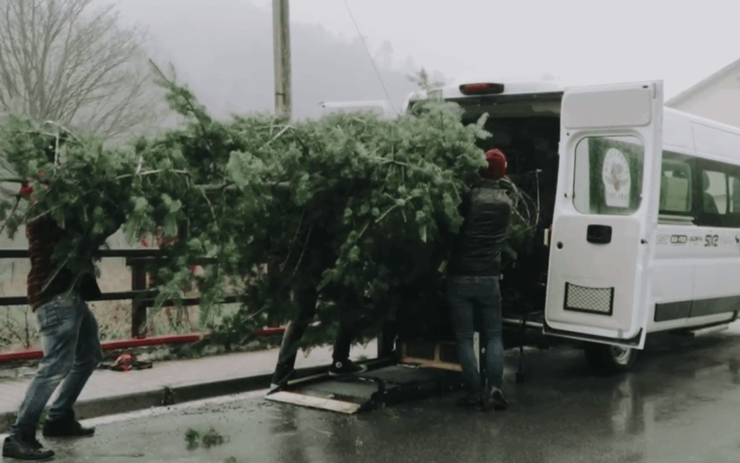 Per noi non è Natale. Se non lo è per tutti